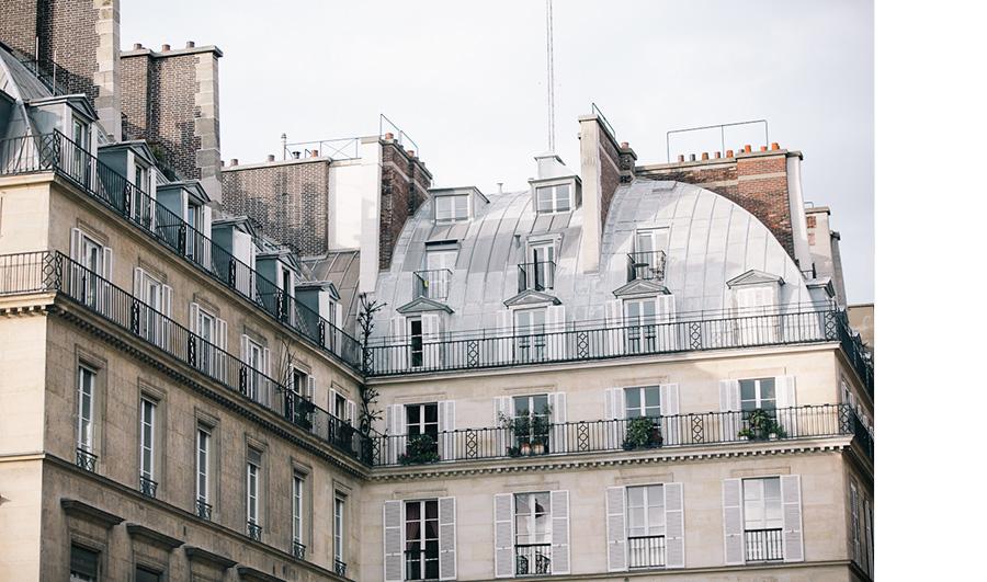 Rooftop Paris Photo photographer