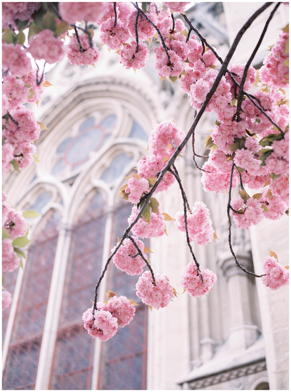 Paris-photographer-Secret-d-Audrey-pre-wedding-engagement-fim (8)